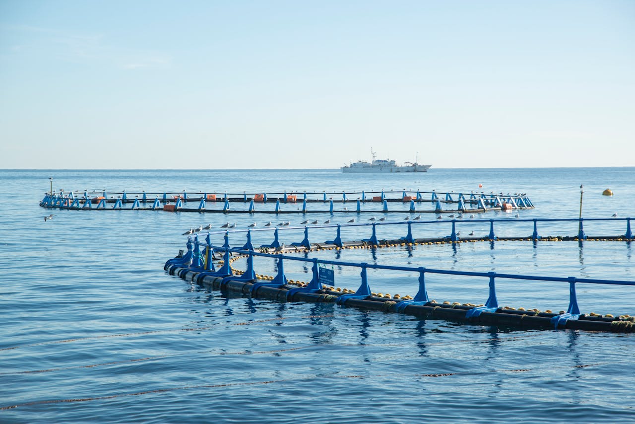 Aerial view of fish pens in a tranquil ocean setting with a distant ship.